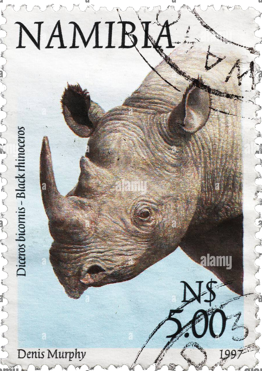 Rhino Stamp